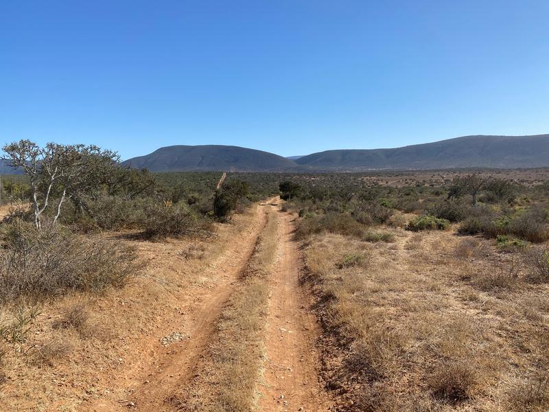 0 Bedroom Property for Sale in Kirkwood Eastern Cape